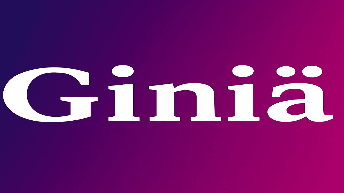 Read more about the article Giniä: A Comprehensive Guide to the Mysterious Term